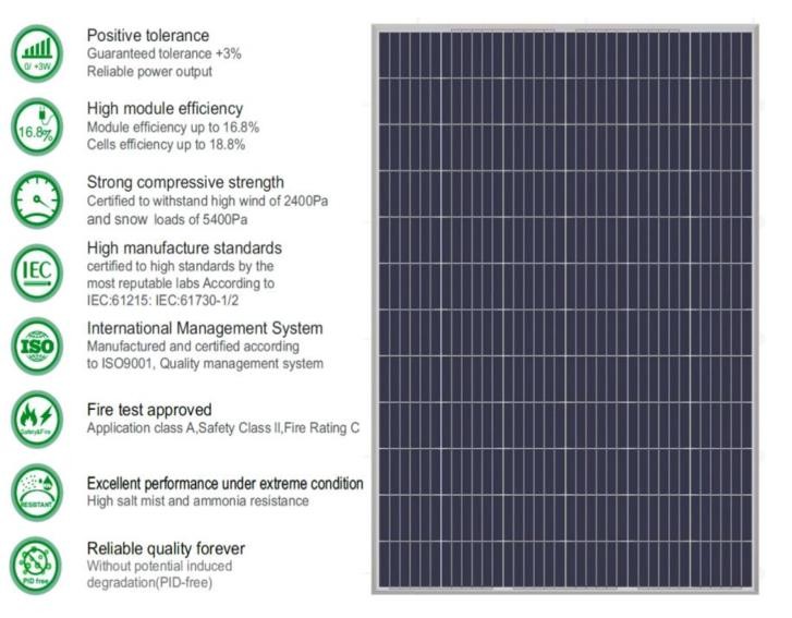 Solar PV Module (Panel)